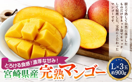 ＜宮崎県産完熟マンゴー L×3玉（約900g）＞2026年4月中旬～7月下旬までに順次出荷