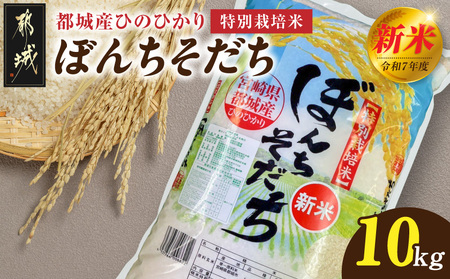 都城産ひのひかり特別栽培米「ぼんちそだち」10kg(5kg×2袋)_28-N501_(都城市) 都城産 お米 10kg 5kg×2 ひのひかり ぼんちそだち
