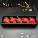 【ふるさと納税】【先行予約】【数量限定】とちあいかDX ギフトBOX（5粒）｜いちご イチゴ 苺 先行予約 栃木県 果物 くだもの フルーツ とちあいか 新鮮 贈答 ギフト ※2024年11月上旬頃より順次発送予定