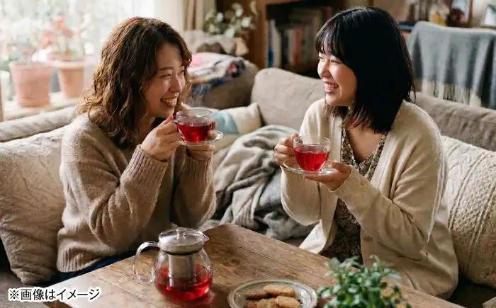 【お中元対象】紅茶 ハイビスカスティーセット 3袋 紅茶 BLAT003