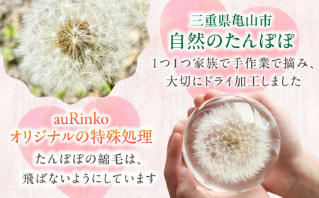【pallo 80mm】たんぽぽハーバリウム / インテリア 雑貨 フラワー ナチュラル / 亀山市 / auRinko [AMBL002]