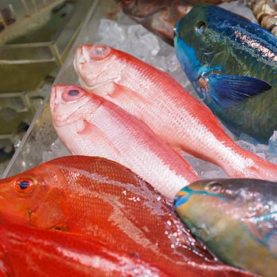 ふるさと納税 座間味村 慶良間諸島の自然味覚 旬のお魚3種セット |  | 02