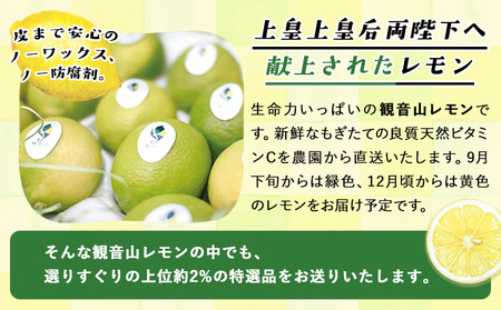 ノーワックス レモン 檸檬 観音山レモン特選18玉 有限会社柑香園【先行予約】《2025年10月中旬-2026年3月末頃出荷》和歌山県 紀の川市 フルーツ 果物 柑橘 檸檬 レモン