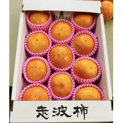 ふるさと納税 朝倉市 福岡県朝倉市産「志波柿(富有)」  M〜2Lサイズ×約10〜12個入
