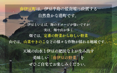 旬の野菜と果物セット 1年間の定期便　【 野菜 】