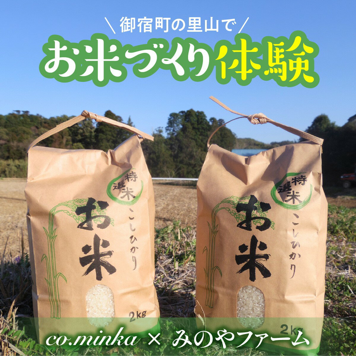 【ふるさと納税】I701　2026年度田んぼ区画オーナー制度（2区画）【個人向け】ご友人同士参加OK！（お申込者+2名様まで）ご家族参加も大歓迎！　ONJX002