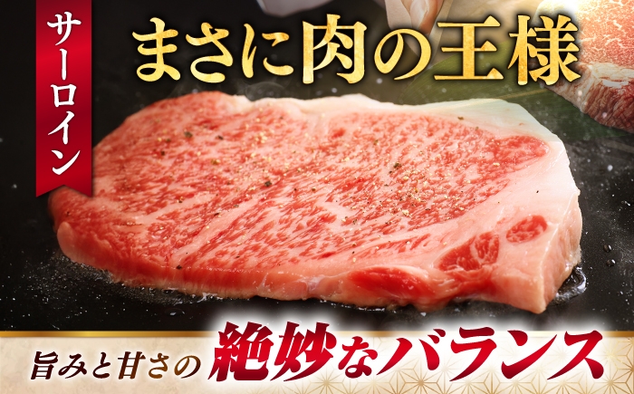 ステーキ肉 厚切り 赤身 希少部位 お肉 牛肉 黒毛和牛