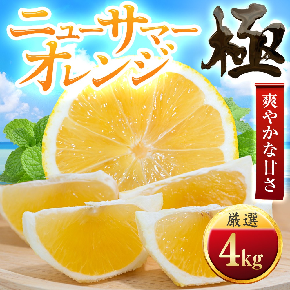 
                  【先行受付】【太陽をたっぷり浴びた】ニューサマーオレンジ【極】4kg【C49-57】_みかん ミカン 柑橘 果物 くだもの フルーツ 日向夏 甘い 希少 愛媛 デザート 愛媛みかん 極 ジューシー 果汁たっぷり ブランド 厳選 オレンジ 【1509760】 YWTZ049
                
