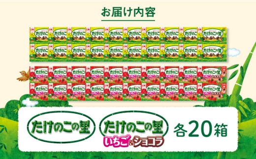 明治 たけのこの里 と たけのこの里いちご＆ショコラ 各20箱（ 計40箱 ） お菓子 おやつ 菓子 おかし チョコ クッキー ビスケット たけのこの里 いちご 苺 大容量 箱 バレンタイン ギフト プレゼント 詰め合わせ 詰合せ 食べ比べ 人気 おすすめ 定番 大阪府 高槻市 /株式会社丸正高木商店 [AOAA065]