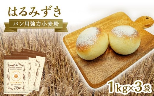 
            パン用 強力小麦粉「はるみずき」1kg×3袋【 小麦 小麦粉 粉 パン用 強力小麦粉 穀物 こむぎ こむぎこ 人気 おすすめ 香川県 坂出市】
          