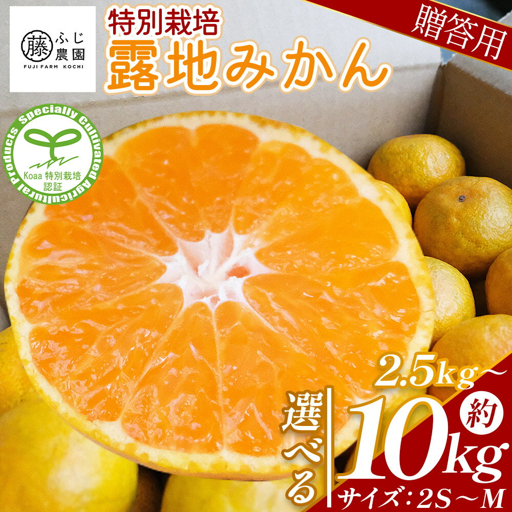 【ふるさと納税】【選べる内容量】ふじ農園の露地みかん 贈答用 (選べる内容量：2.5kg/5kg/10kg)(2S～M) - 国産 蜜柑 ミカン 柑橘 果物 フルーツ 贈答 プレゼント ギフト 贈り物 ふじ農園 高知県 香南市 【常温】