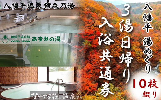 
3湯日帰り入浴券10枚綴り【日帰り温泉】 ／ 温泉 回数券 森乃湯 あずみの湯 なかやま荘
