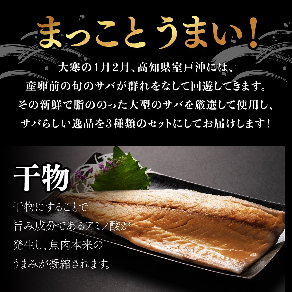 
            【選べる定期便 6回or12回】干物 サバ 鯖 さば ごちそうサバ3品セット 片身干物4枚 みりん干し4枚 しめさば2枚 計10枚 冷凍 詰め合わせ 惣菜 ご飯のお供 晩酌 酒の肴 BBQ ギフト 高知県室戸市 iz056-sku
          