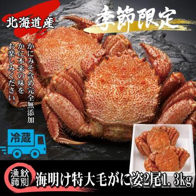 ふるさと納税 紋別市 【北海道産】特大海明け毛がに姿 2尾計約1.3kg【期間限定5月18日まで受付予定】(冷蔵便)