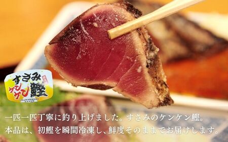 ＼令和６年初カツオ／２月～４月限定 すさみケンケン鰹のたたき 約500g～600g カツオ かつお 刺身 タタキ 天然 初ガツオ 初鰹 【scp001】