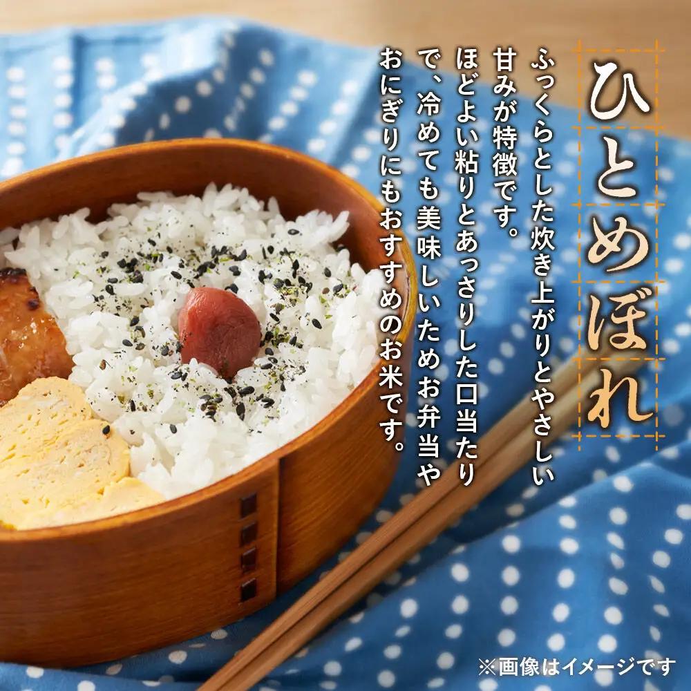 《令和8年産 新米受付》《定期便7ヶ月》【白米】極上秋田銘柄米 ひとめぼれ 5kg