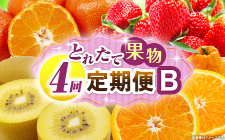 とれたて果物 4回定期便B |果物 フルーツ 果物定期便 フルーツ定期便 定期便 いちご キウイ デコポン みかん 濃厚 旬の果物 定期 人気 おすすめ 贈答 贈り物 青果物 糖度 香川県 |_mk165-t075