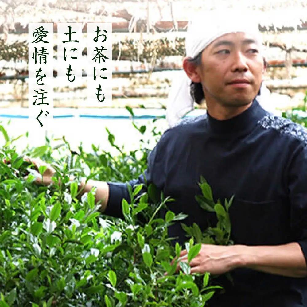 八女茶 深蒸し高級 2袋[BGAF013] お茶 八女茶