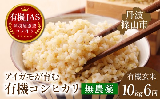 〈定期便 令和８年産早期予約〉10kg×6回 有機JAS認証 アイガモが育む コシヒカリ 玄米 計60kg｜兵庫県 丹波篠山市産 げんまい 白米 米 コメ こめ こしひかり 有機栽培 農家直送