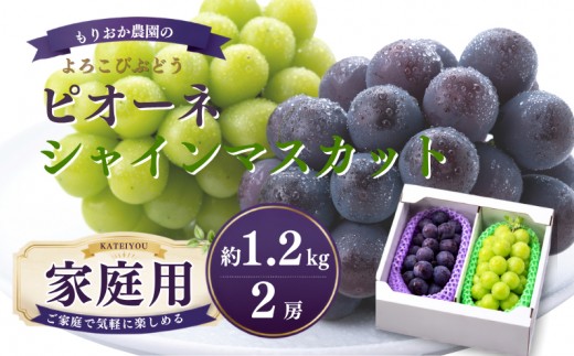 家庭用 ピオーネ1房とシャインマスカット1房 約1.2kg 2房 岡山県新見市 もりおか農園 よろこびぶどう 【先行予約 2026年10月上旬から順次発送】
