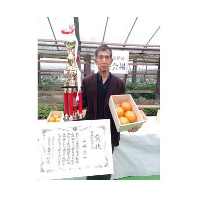 ふるさと納税 かすみがうら市 画期的な食感と甘さ柿「太秋」約3.5kg以上(10個〜12個) |  | 01