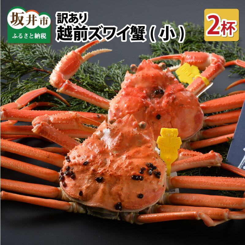【ふるさと納税】【先行予約】 訳あり≪茹で≫越前ズワイ蟹(小) 2杯【2025年11月〜2026年3月発送予定】【カニ かに わけあり 海鮮 蟹 越前ガニ ずわいがに ズワイガニ 姿 まるごと 日本海 冬の味覚 送料無料】