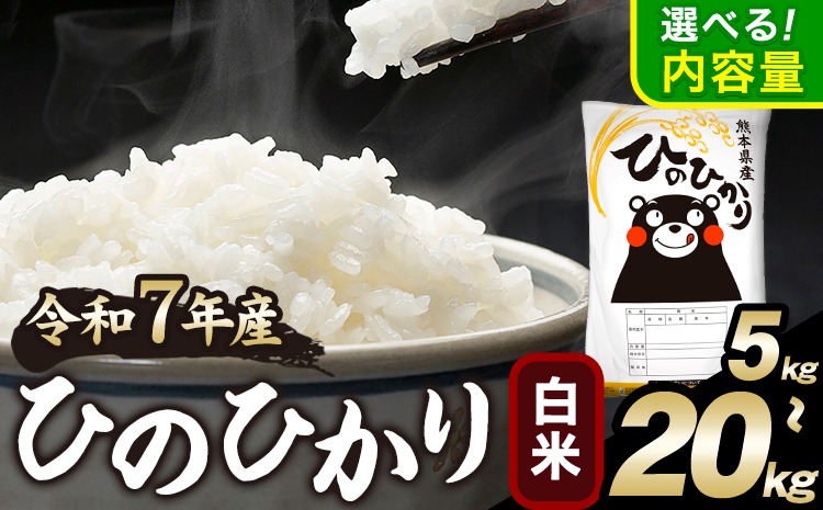 ひのひかり 白米 5kg 10kg 20kg 《7-14日以内に出荷予定(土日祝除く)》 白米 精米　熊本県産(南阿蘇村産含む) 単一原料米 南阿蘇村---mna_hn7_wx_11500_5kg_h---