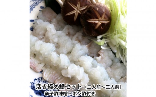 
            【先行予約】活き締め鱧（はも）セット（二人前～三人前）辛子酢味噌・ポン酢付き 湯引き 鱧しゃぶ
          