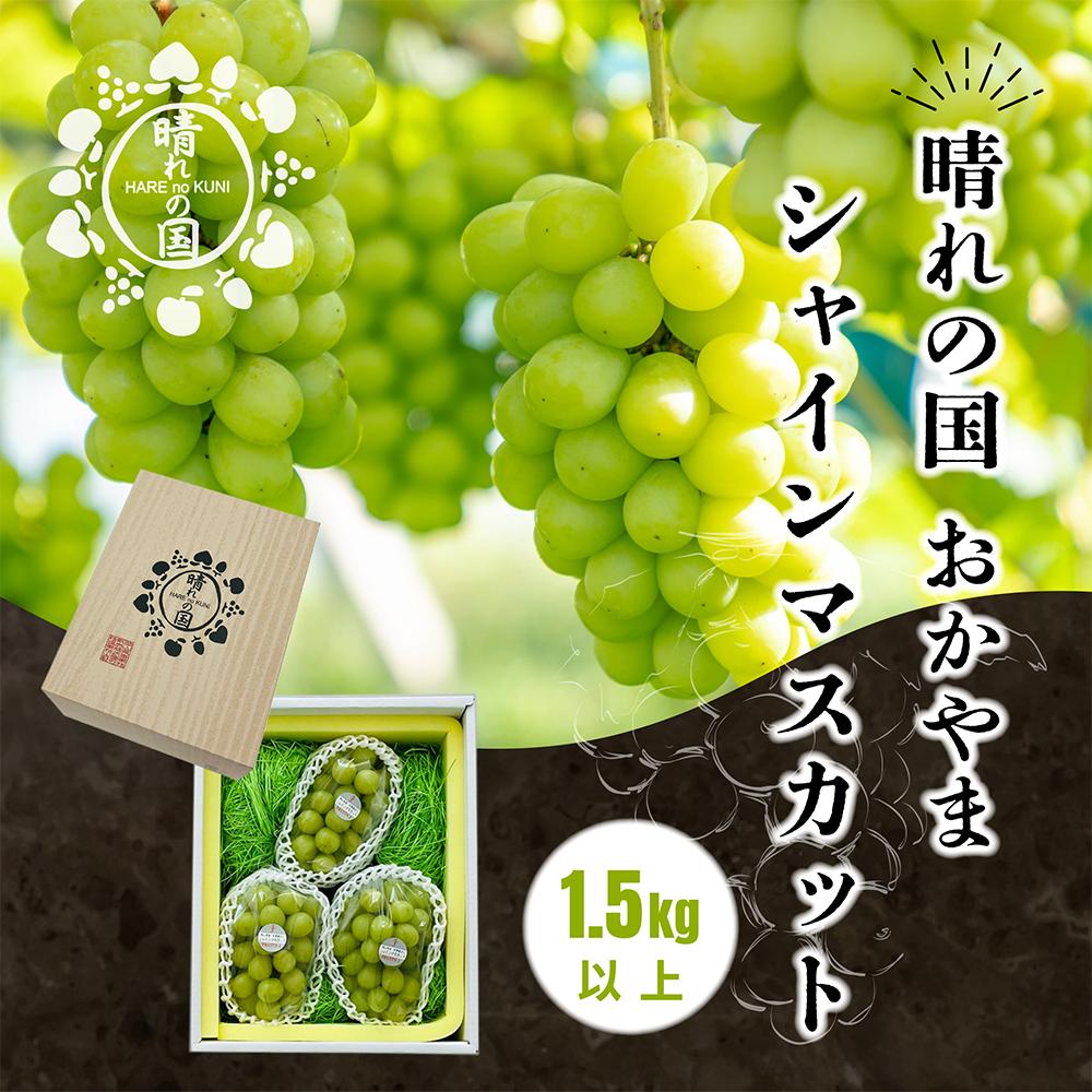 【先行予約　2025年9月上旬発送〜】岡山県産シャインマスカット 1.5kg（2〜3房）