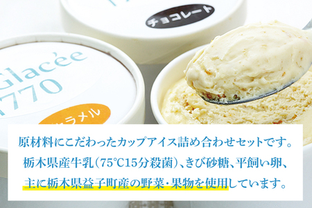 AB002アイスクリーム工房「Glacée770」の素材にこだわった無添加アイスクリームセット