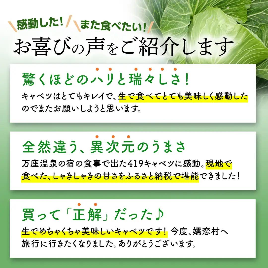 【ふるなびWEEK対象】＜レビューキャンペーン開催中＞【7月中旬発送開始】訳あり まぼろしの419キャベツ 4玉 [AL006tu] 