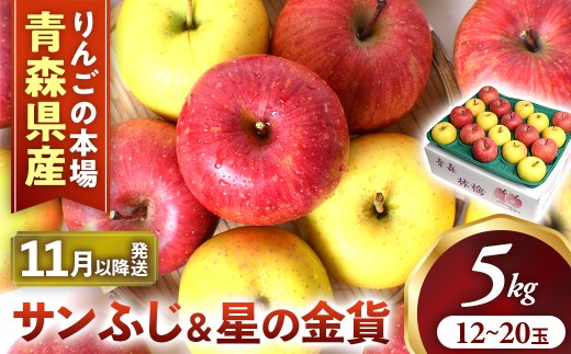 りんご【サンふじ＆星の金貨】セット 約5kg（計12～20玉）【2026年産・先行予約】★2026年11月中旬～12月中旬頃まで発送予定★ 青森県三戸町産リンゴ りんご サンふじ 2026年産 サンふじ リンゴ りんご リンゴ 旬 くだもの 果物 詰め合わせ 旬 フルーツ 青森県三戸町 AK-16-002