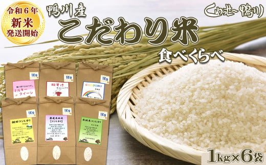 《令和６年新米》【くわっせ～鴨川】鴨川産 『こだわり米』食べくらべセット《精米》 １kg×６袋　[0015-0048]