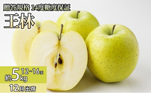 12月 贈答規格 王林約5kg（12～16個）14度糖度保証【青森りんご・ゆうきアップル・12月】 果物類 果物 フルーツ 代表品種 甘み