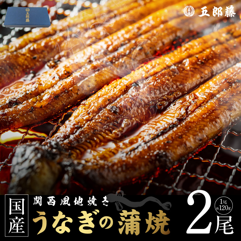 【贈答用】五郎藤 関西風地焼き 国産有頭旨鰻 120g×2尾 計約240g うなぎ ウナギ 蒲焼き 炭火 099H5078