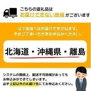 【令和8年6月発送】2～3人前 絶品塩もつ鍋セット（300g）