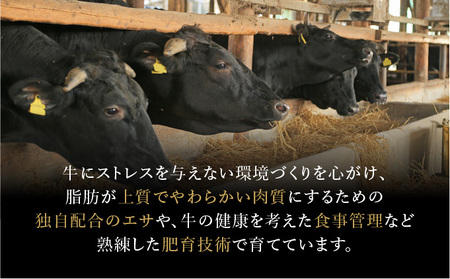 佐賀牛サーロインステーキ 600g (200g×3枚)