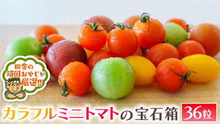 カラフルミニトマト の 宝石箱 36粒 【2026年1月から発送開始】（茨城県共通返礼品 [トマト]：つくばみらい市産）