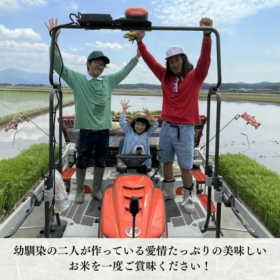 【令和7年産】新潟県産コシヒカリ 精米 5kg 五泉市産 | 白米 米 こしひかり