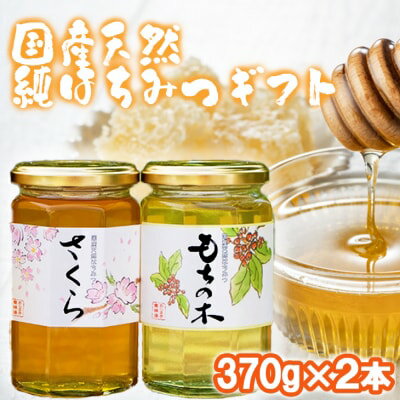 【ふるさと納税】はちみつ 化粧箱入り 国産 天然 純はちみつ 370g×2本セット さくら＆もちのき ギフト 《包装対応、手提げ袋付》 　お届け：2025年5月より順次発送いたします。