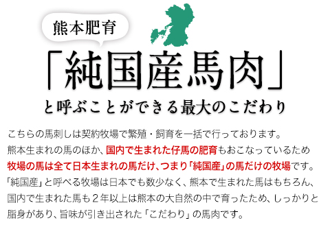 手作りハン馬ーグ 100g×10個 馬肉100% 馬肉 ハンバーグ  《30日以内に出荷予定(土日祝除く)》---ng_fkghumburg_30d_23_12000_10k---