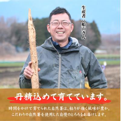 ふるさと納税 小田原市 自然薯味付とろろ　30パックセット(100g×30p) |  | 03