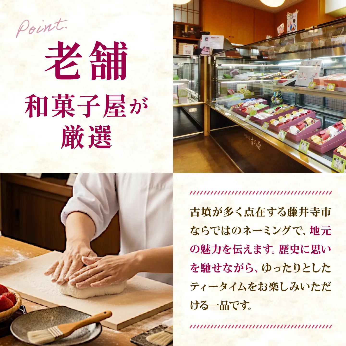 焼き菓子 【全3回定期便】古墳巡り 12個 / お菓子 菓子 和菓子 洋菓子 生菓子 おやつ 饅頭 まんじゅう お饅頭 おまんじゅう 焼き菓子 おやつ 贈り物 お茶菓子 ギフト 贈答 プレゼント 人気