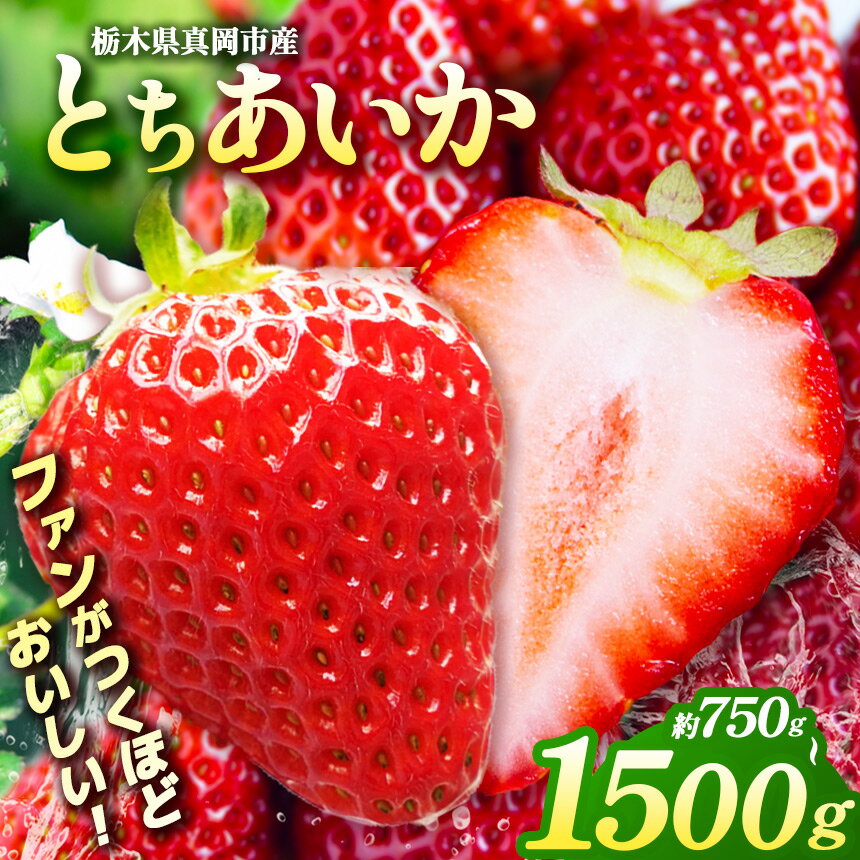 【ふるさと納税】いちご とちあいか【2027年先行予約】選べる 750g 1500g | 苺 イチゴ 朝採れ 完熟 大粒 高糖度 ブランド 産地直送 フルーツ 果物 ギフト 贈答 送料無料 日本一 産地 栃木県 真岡市 【1月発送】