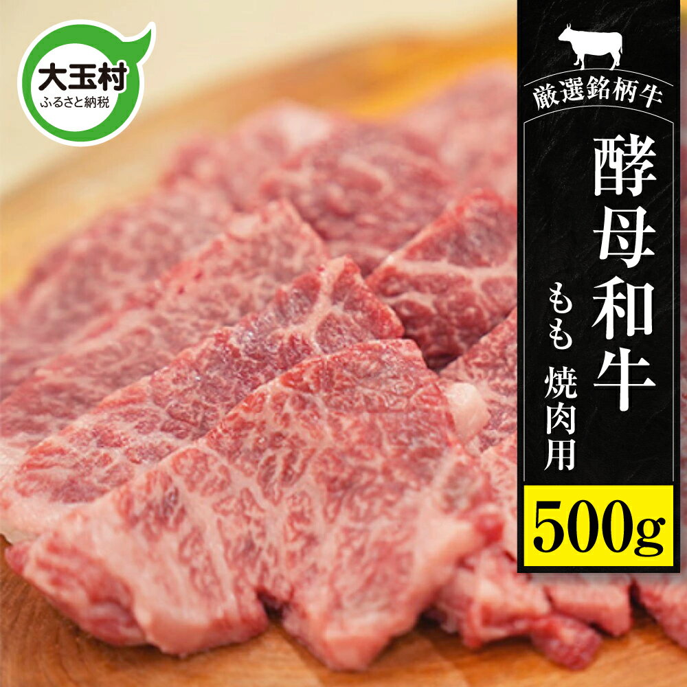 【ふるさと納税】 焼肉 黒毛和牛 もも 500g 牛肉 あだたら酵母和牛 和牛 切り落とし もも肉 モモ お取り寄せ お祝い 福島牛 國分農場 福島県 大玉村 ｜ 02109