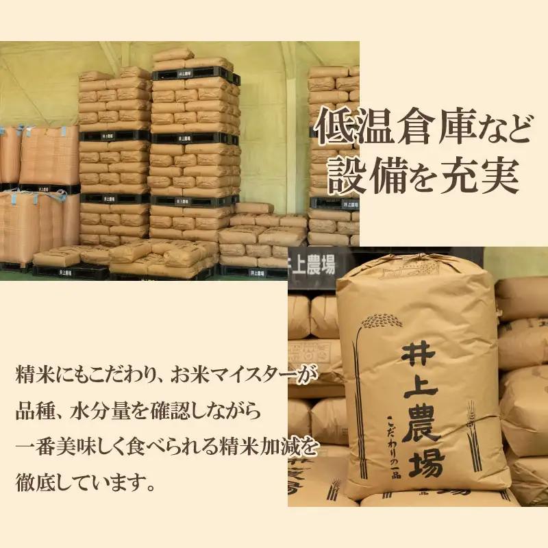 【令和8年産先行予約】 井上農場の特別栽培米 つや姫 無洗米 6kg（2kg×3袋）　K-856　山形県鶴岡市