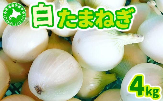 【2025年6月中旬発送】白玉ねぎ 4kg 北海道 伊達産 タマネギ 玉葱 サラダ