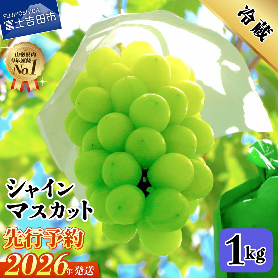 【ふるさと納税】 シャインマスカット 約1kg 2～3房 旬のフルーツ ぶどう 山梨県産 果物 くだもの シャイン マスカット 種なし ブドウ フルーツ ギフト 冷蔵発送 やまふる 山梨 富士吉田市 【 2026年 発送 】 9月上旬から10月中旬頃のお届け
