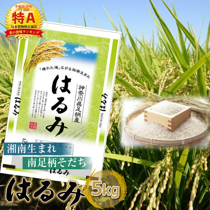 【ふるさと納税】【令和7年産】湘南生まれ 南足柄育ちのお米「はるみ」(精米)5kg×1袋【ギフト プレゼント 贈り物 お返し おいしい 仕送り ごはん おいしい 神奈川県 南足柄市 】
