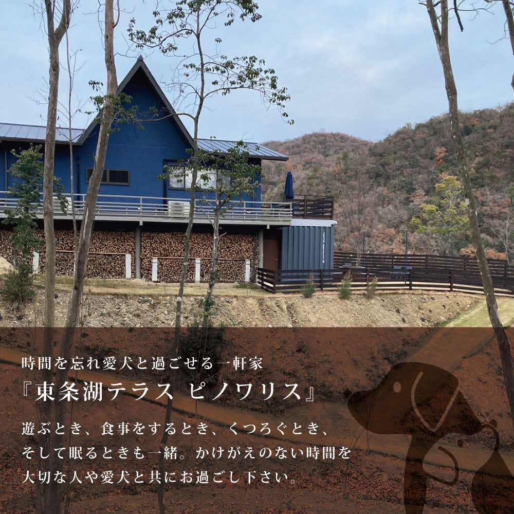 東条湖テラス ピノワリス 宿泊クーポン券 3万円分 愛犬と過ごせる一軒家　宿泊 旅行 クーポン ドッグラン 愛犬 犬 東条湖 加東市